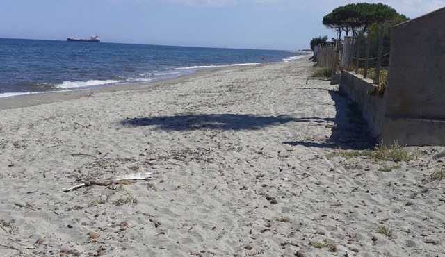 T2 room apartment, 200 m from the sea and 10 minutes from Bastia airport