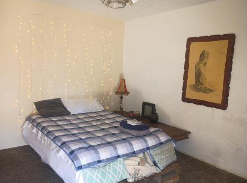 The cozy 2