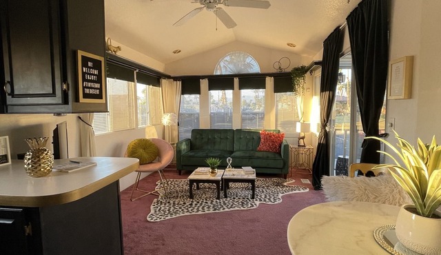 Tiny Home and Gem Of The Desert with Mineral Hot Springs