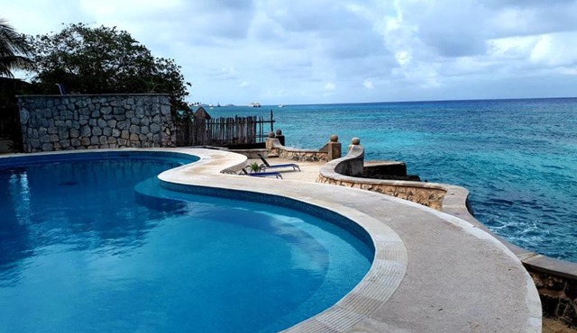 Tito's Paradise