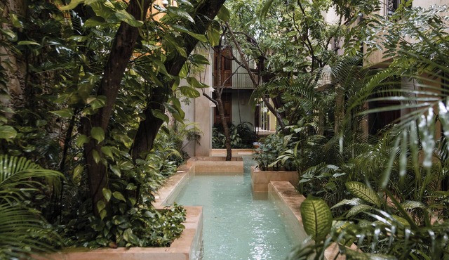 TreeHouse Boutique Hotel - Adults Only