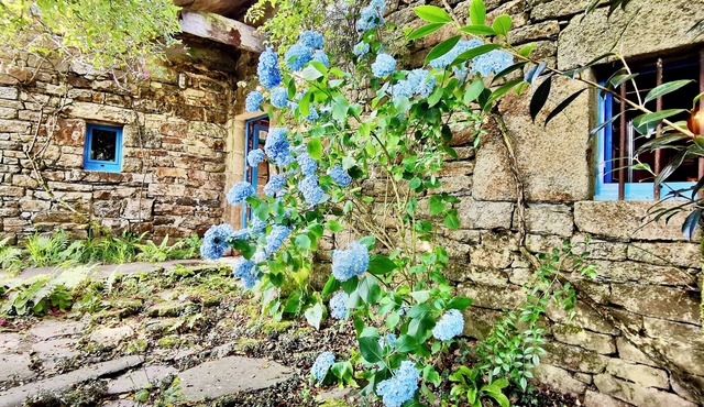 Vacation Rental ⭐️⭐️⭐️. Authenticity in the Heart of the Monts d'Arrée - Finistère
