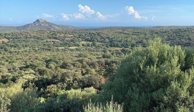 Villa L'Ortu Corse du Sud 6 people