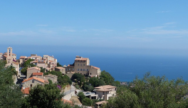 Villa OLIVEA 4 stars with SPA in Monticello Corsica