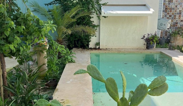 Your Mexican Oasis in quaint Chelem Yucatan close to the Gulf