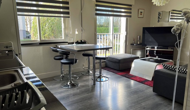 Zenith/Stadium/Expo Park/Sports Palace, Apt 2 rooms 4pers private parking
