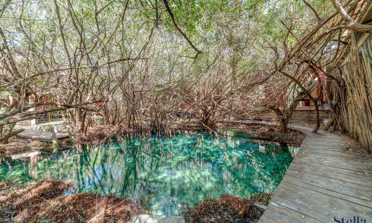 Zona Hotelera Apartment | NEW JungleChic with Pool and Cenote Onsite, Beach 200m