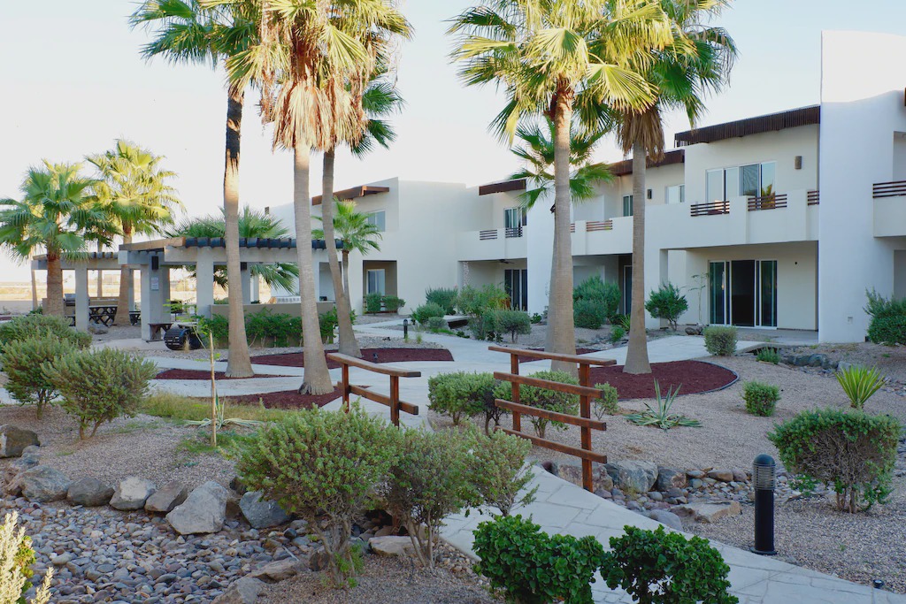 Photo of Buildings in Benito Juarez
