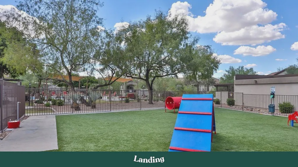Photo of Others in McDowell Mountain Apartments