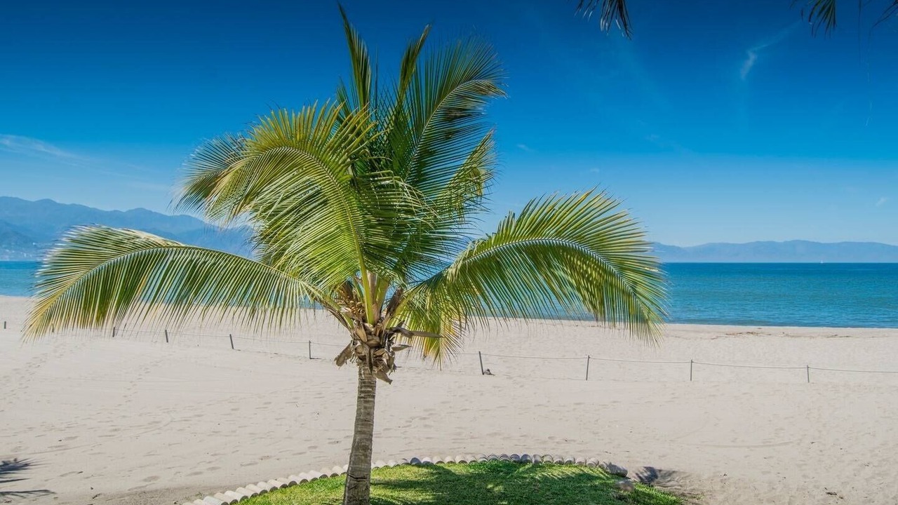 Photo of Outdoor in Marina Vallarta