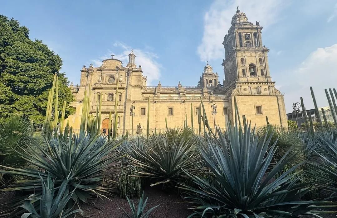 Photo of Others in Cuauhtemoc