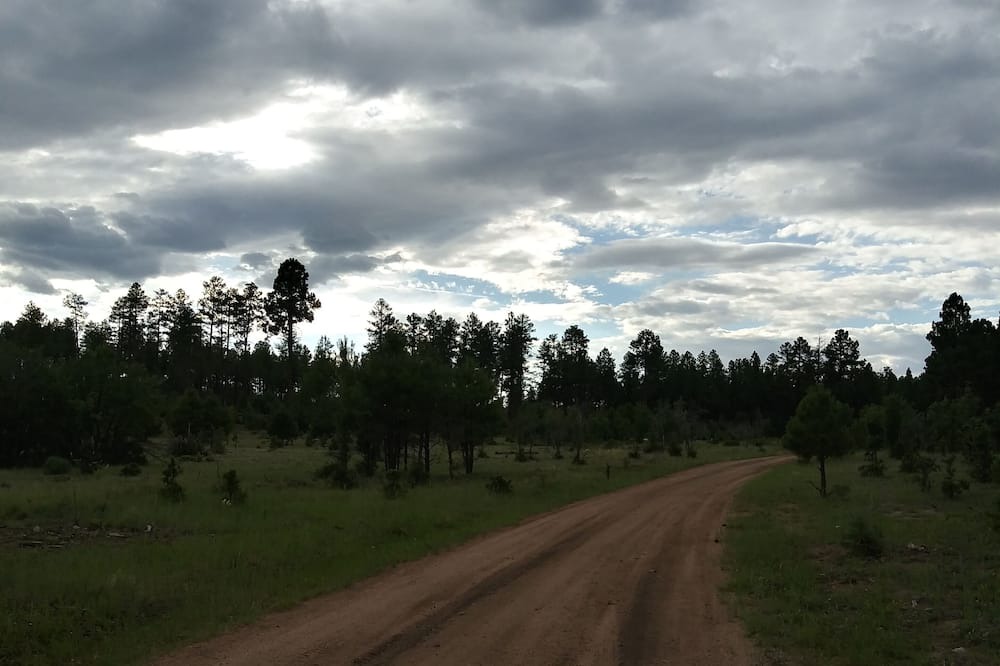 Photo of Others in Clay Springs