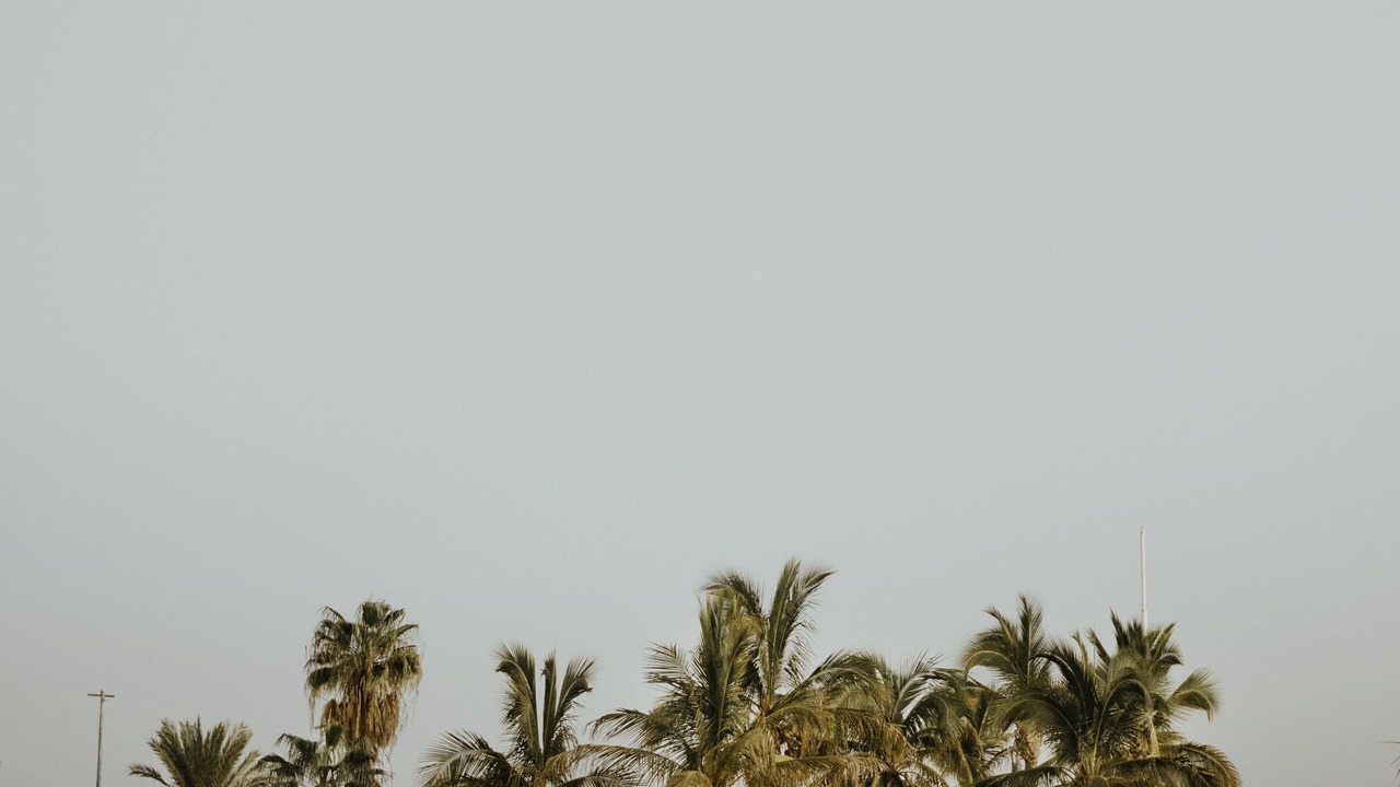 Photo of Others in San Jose del Cabo