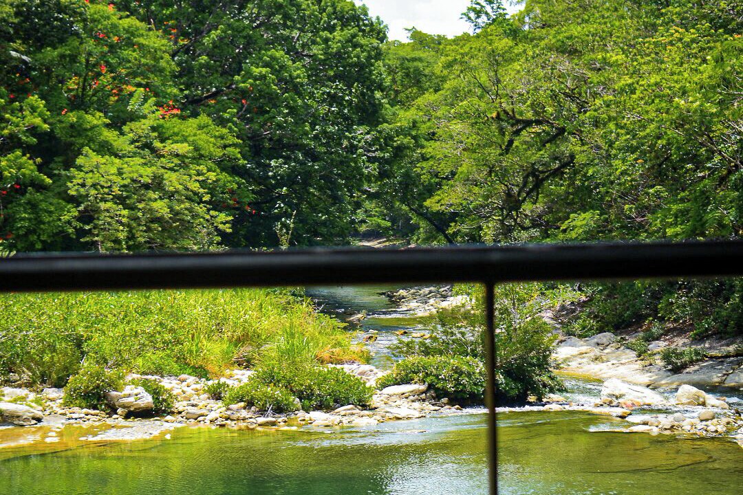 Photo of Others in Palenque