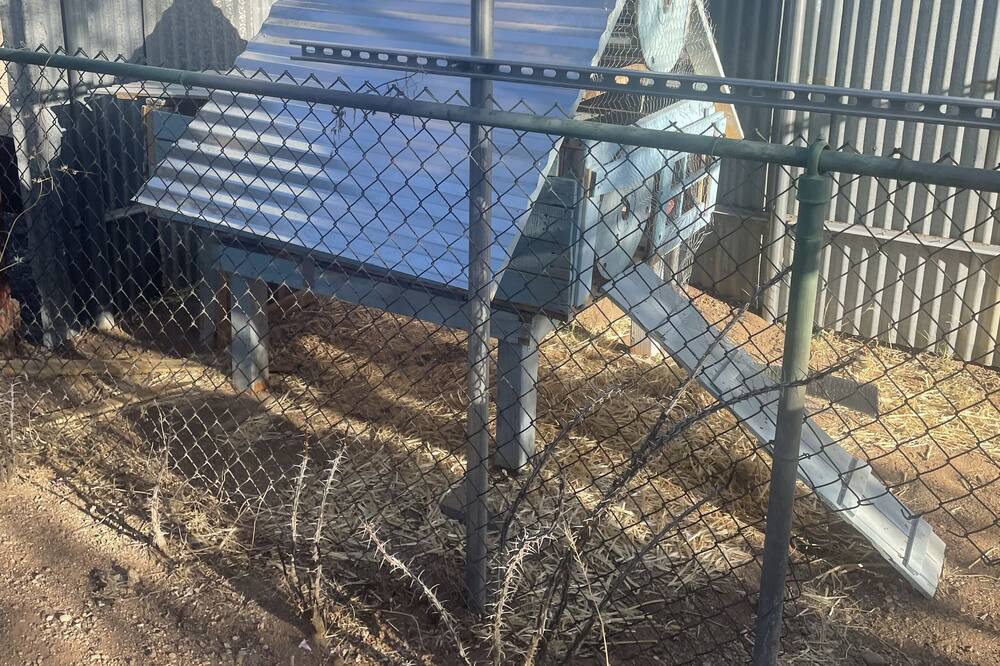 Photo of Others in Campus Farm