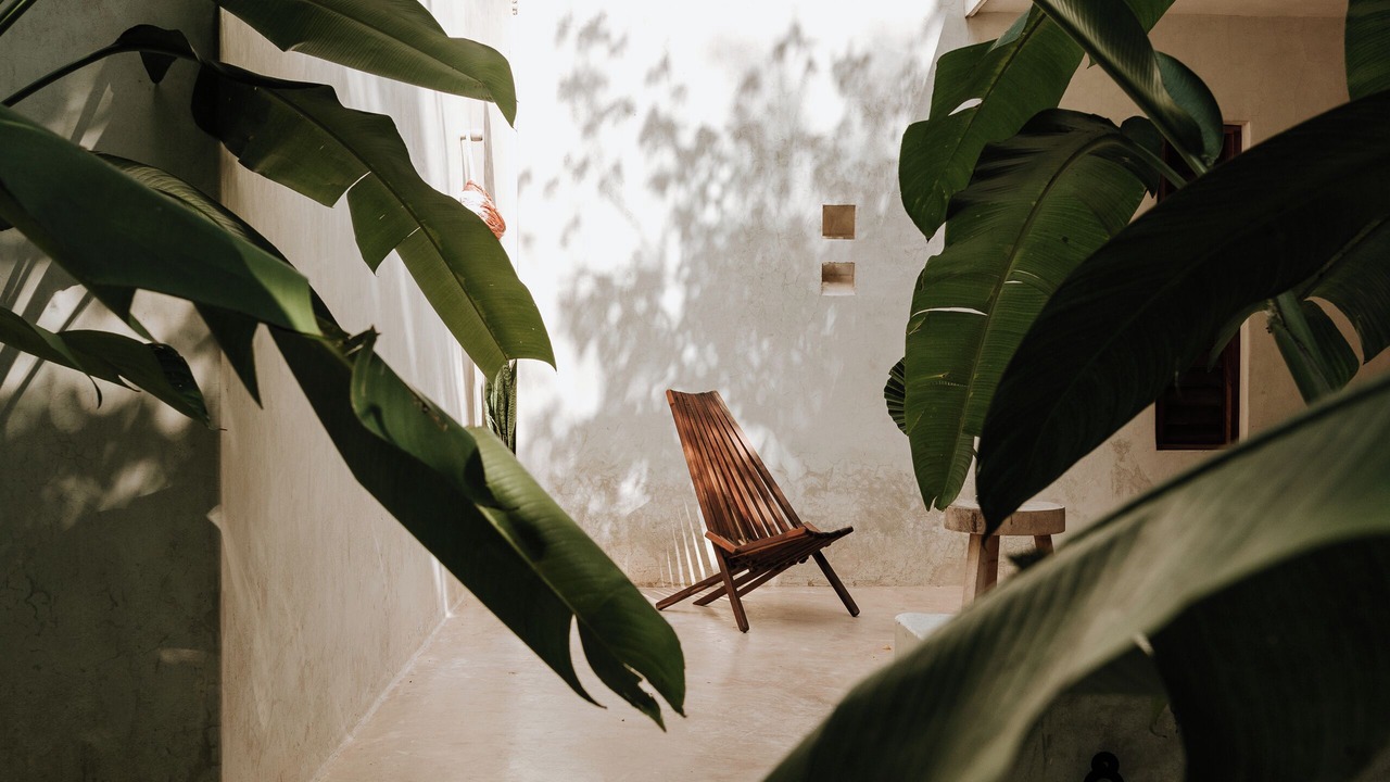 Photo of Outdoor in Espita
