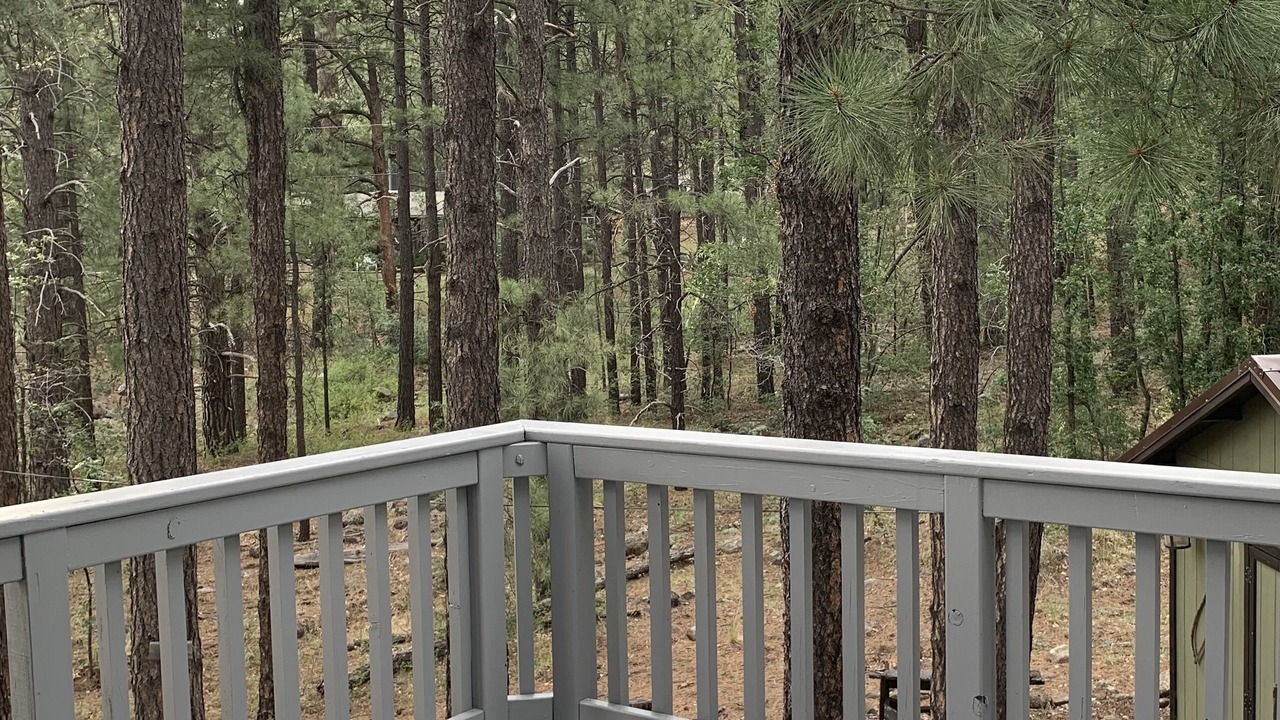 Photo of Outdoor in Munds Park