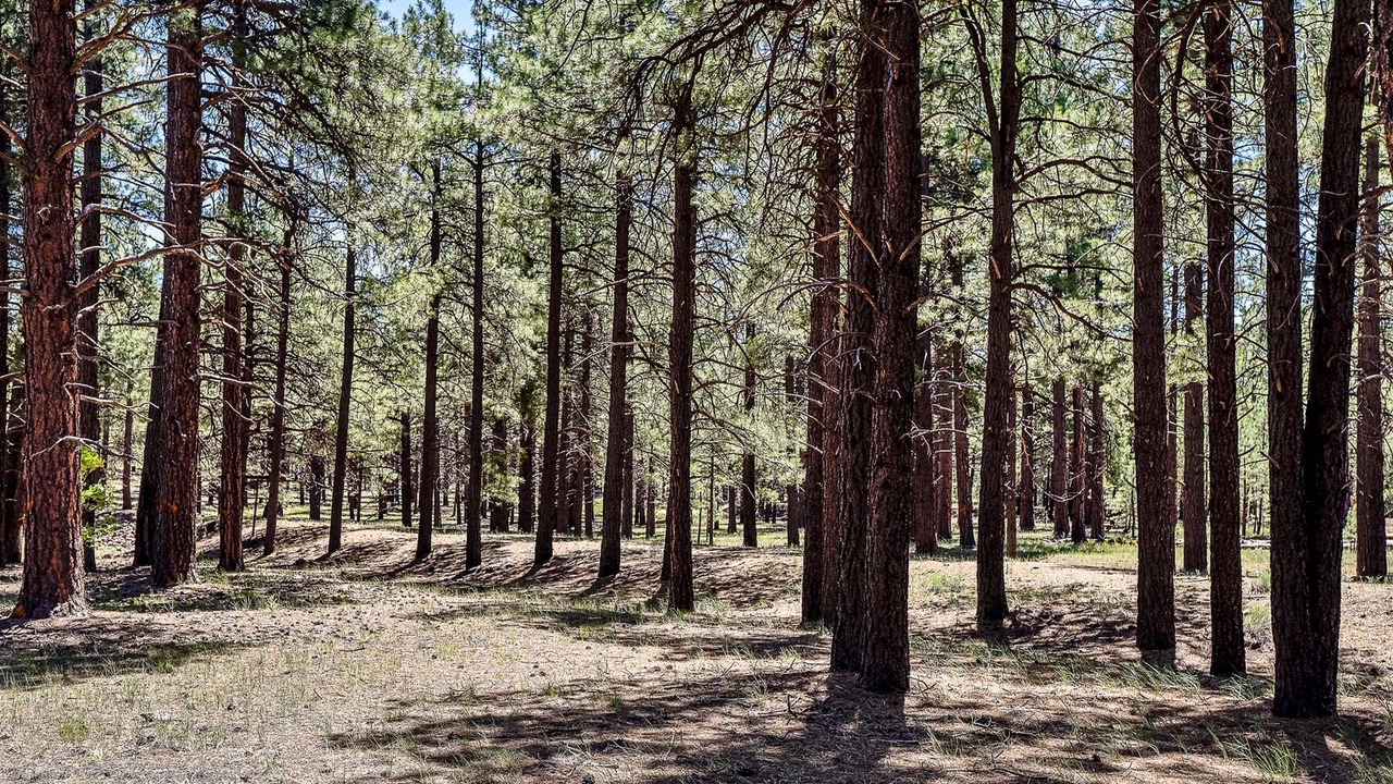 Photo of Outdoor in Parks