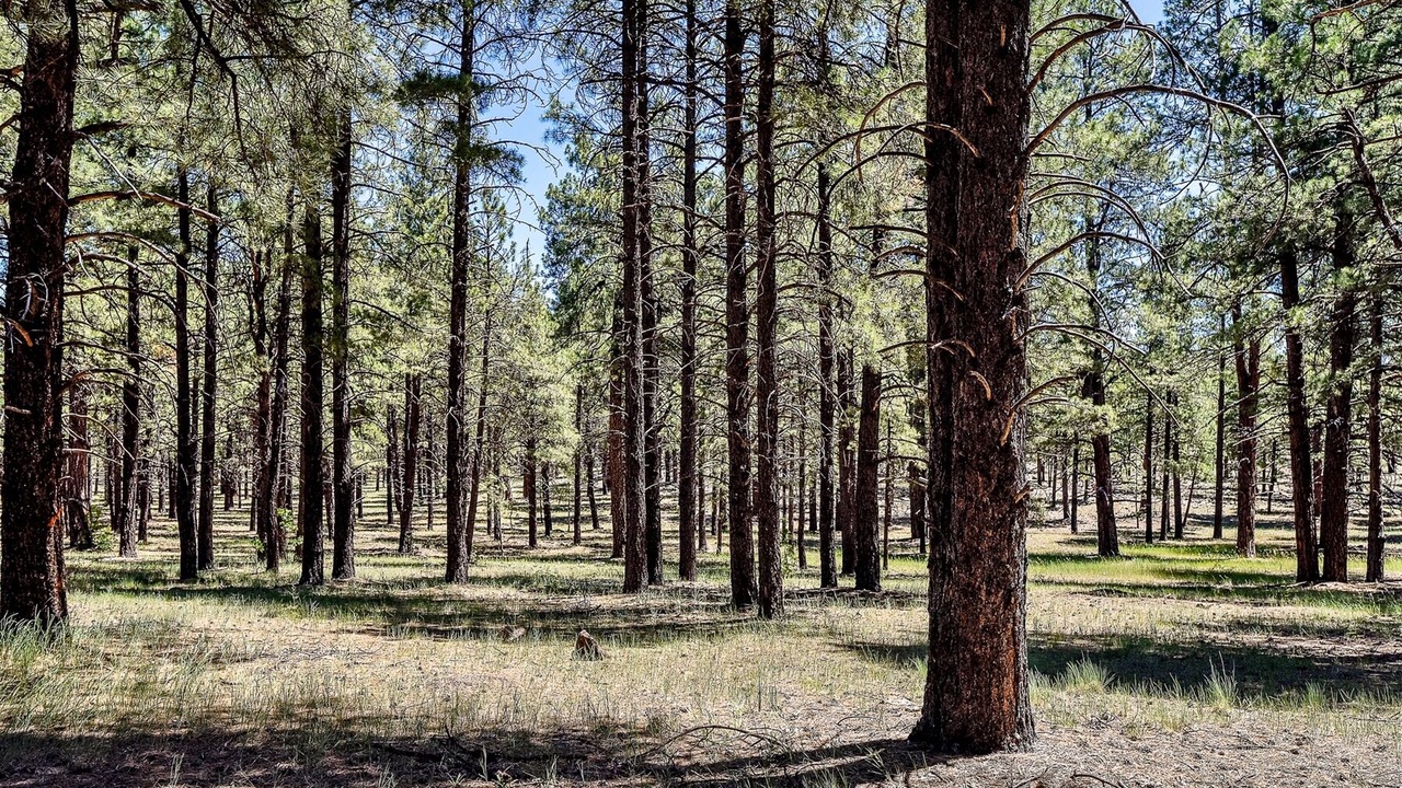 Photo of Outdoor in Parks