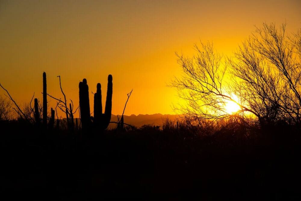 Photo of Others in Pinnacle Peak