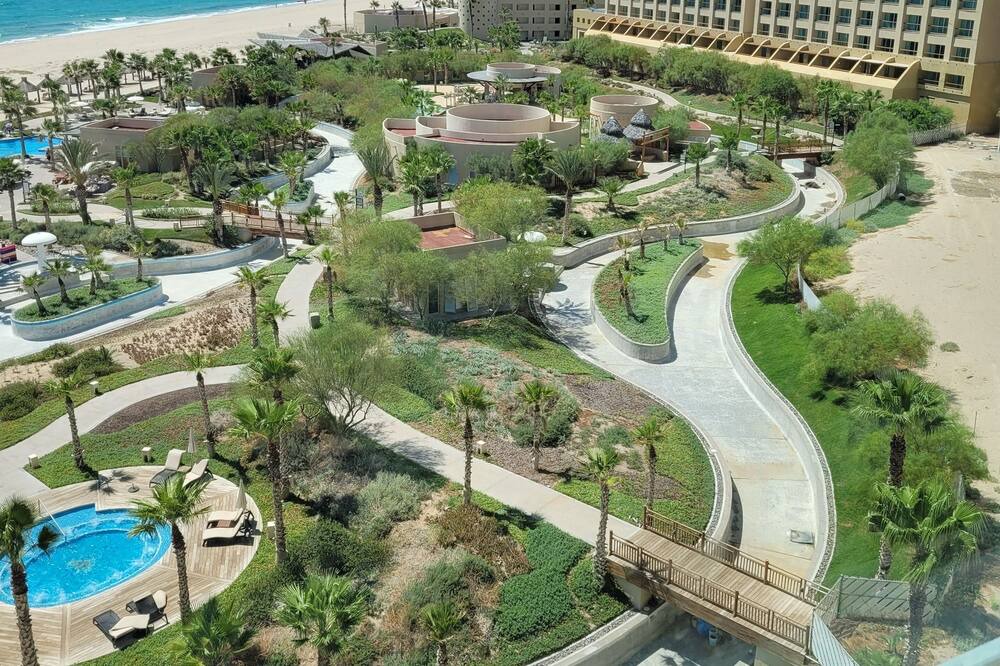Photo of Others in Puerto Penasco