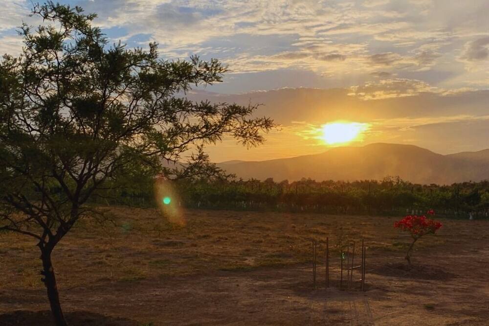 Photo of Outdoor in Valle de Guadalupe