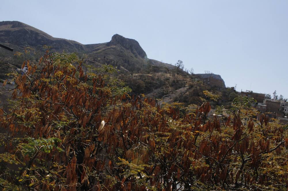 Photo of Outdoor in De La Presa