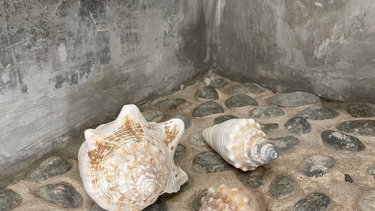 Photo of Patio Balcony in El Cuyo