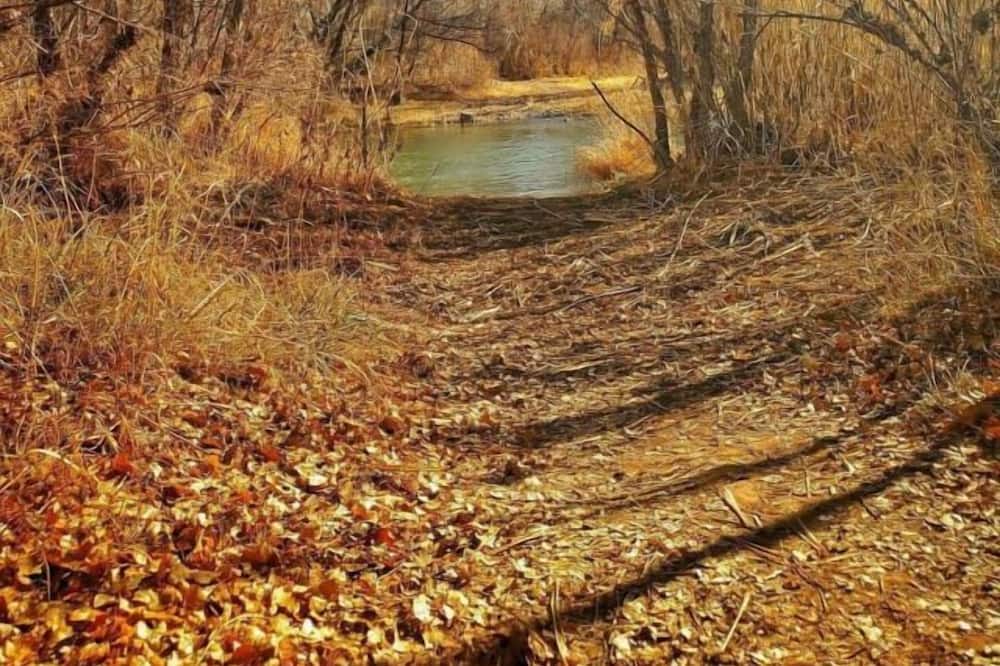 Photo of Outdoor in Camp Verde