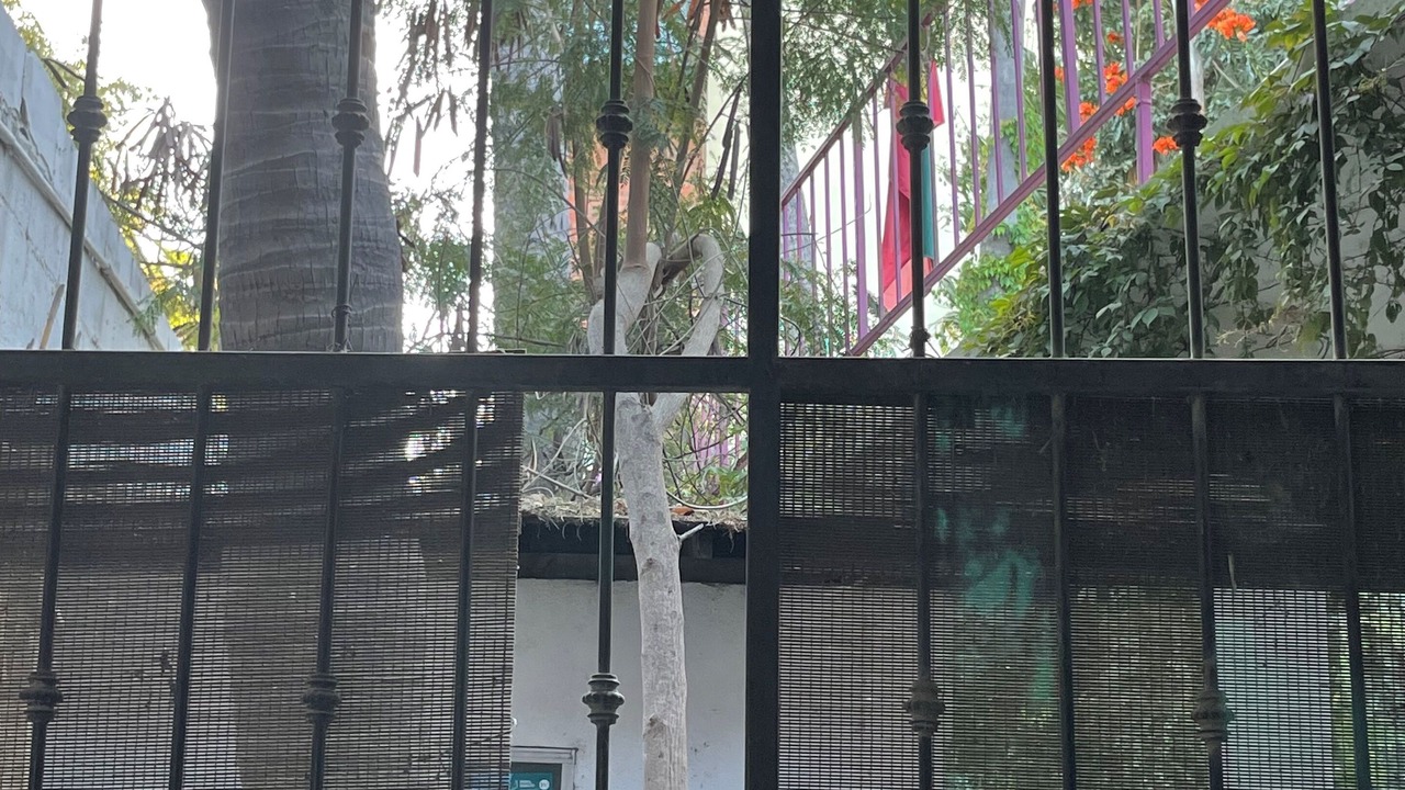 Photo of Outdoor in Downtown San Jose del Cabo