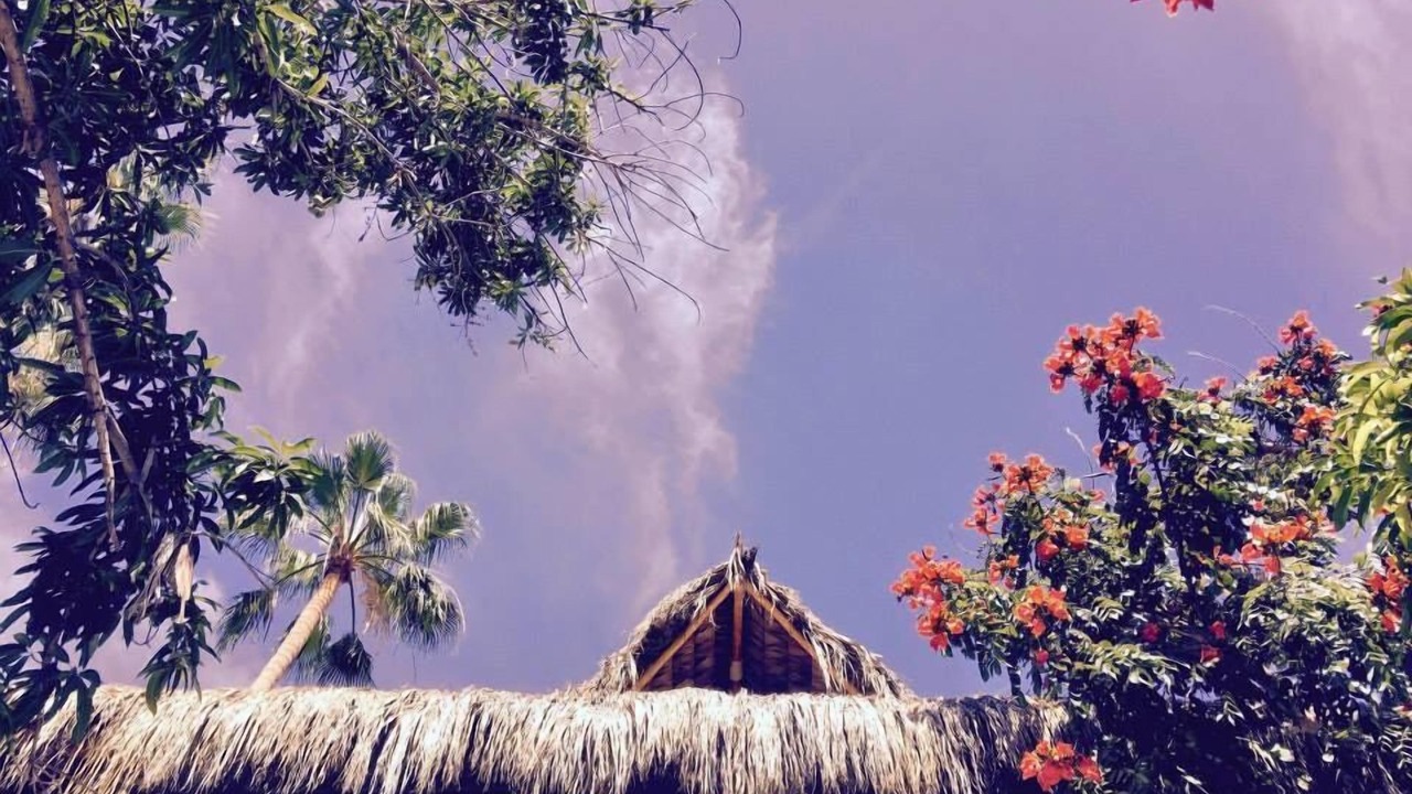 Photo of Outdoor in Downtown San Jose del Cabo
