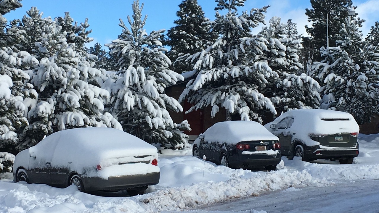 Photo of Outdoor in Williams
