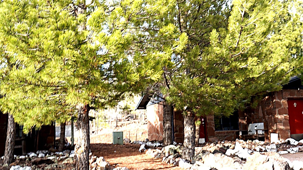 Photo of Outdoor in Williams
