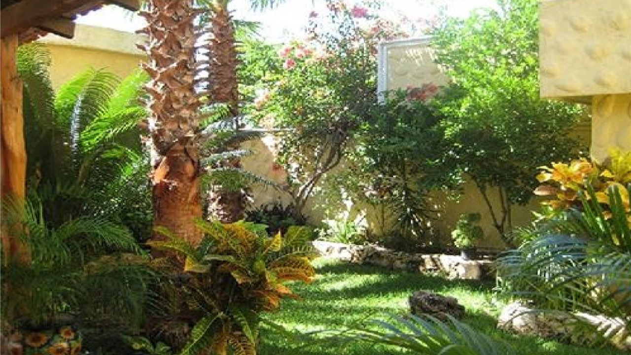 Photo of Others in Isla Mujeres