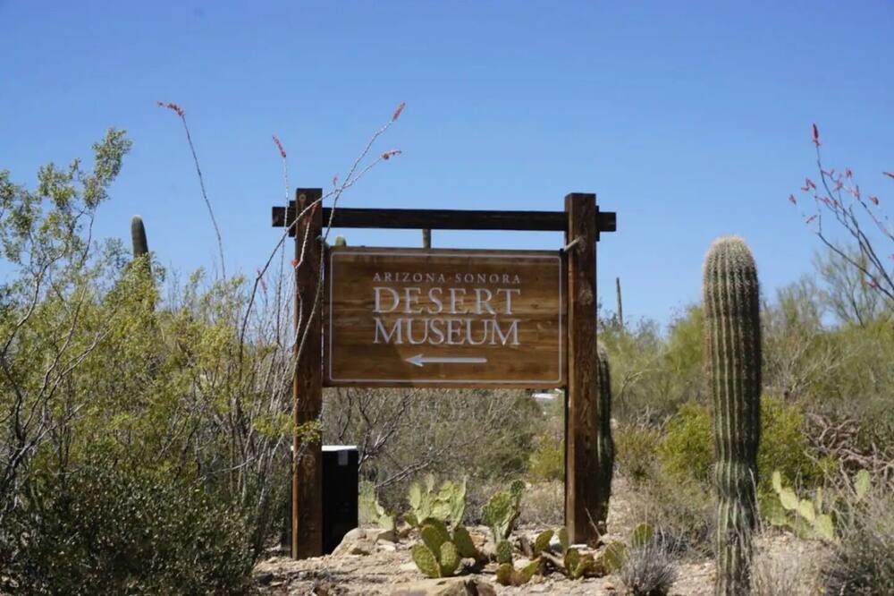 Photo of Others in Tucson