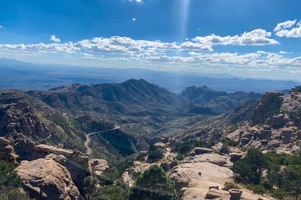 Photo of Others in Tucson