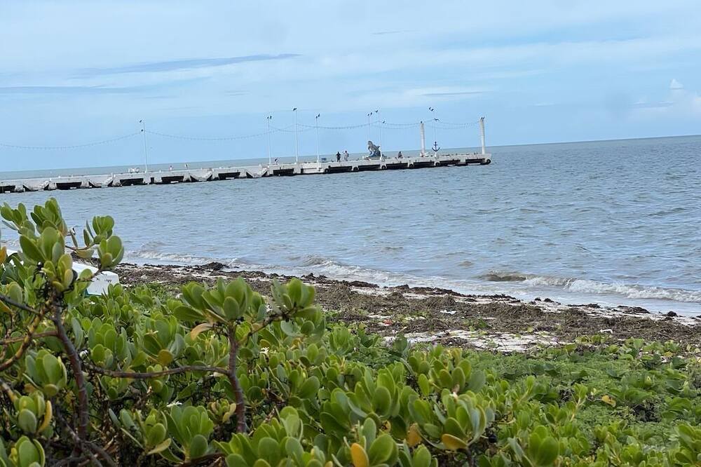 Photo of Others in Telchac Puerto