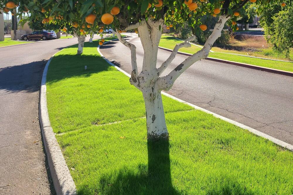 Photo of Others in Parkridge