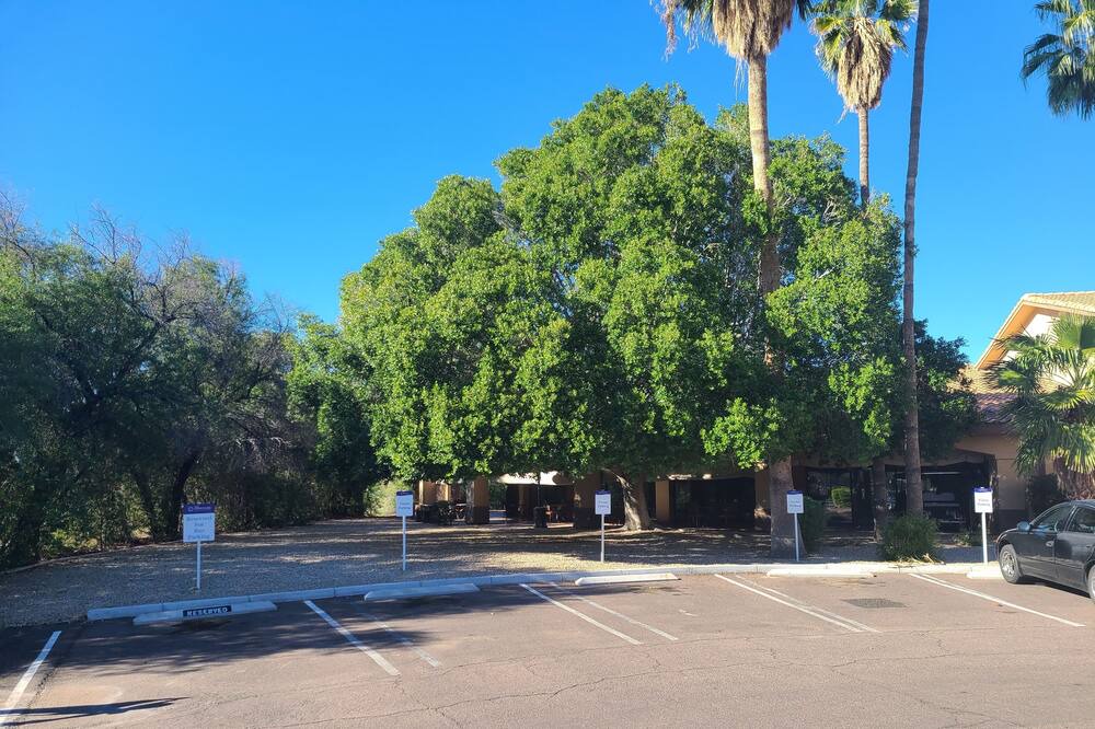 Photo of Outdoor in Parkridge