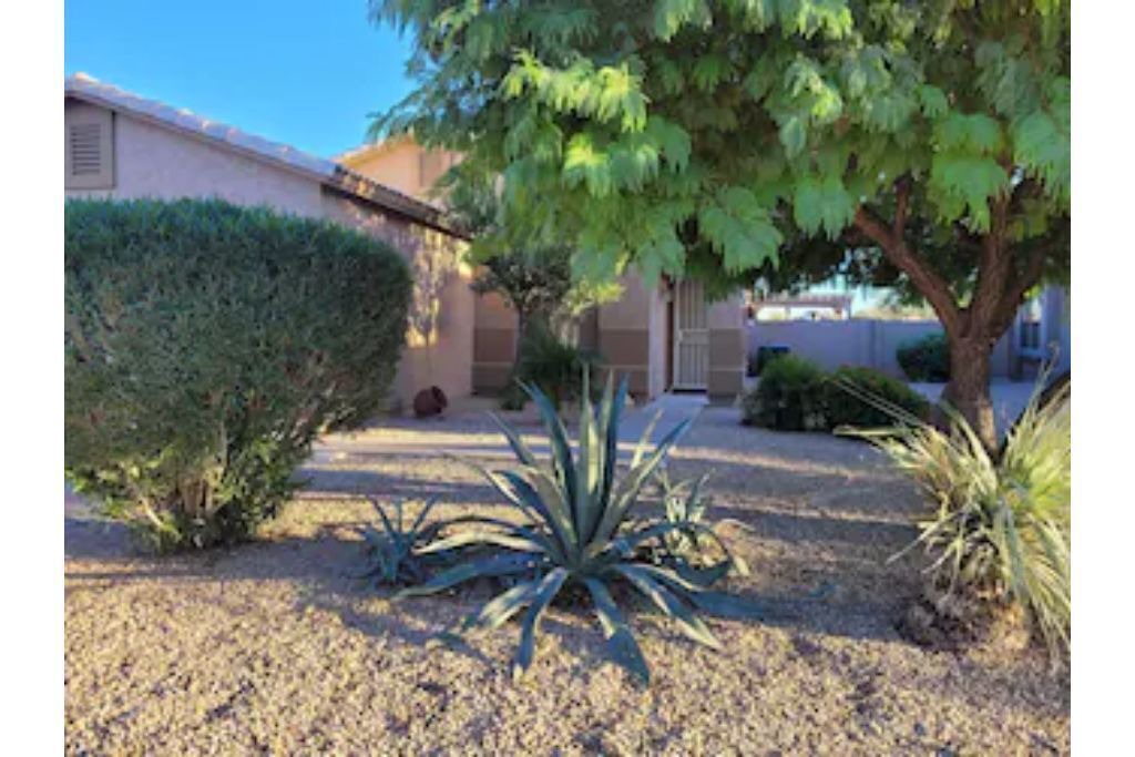 Photo of Outdoor in San Tan Valley
