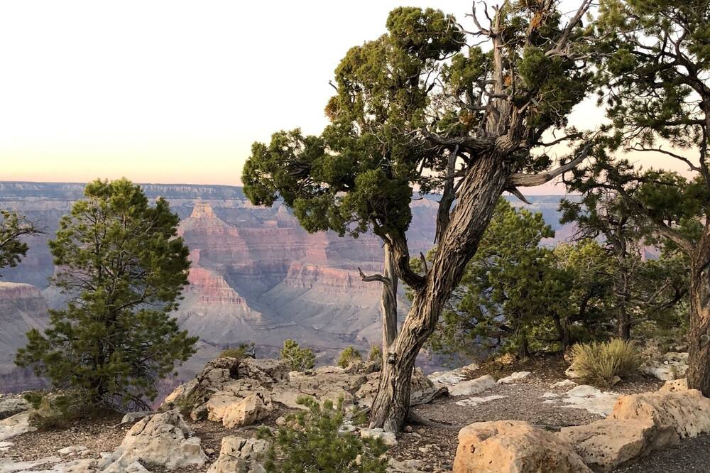 Photo of Others in Clarkdale