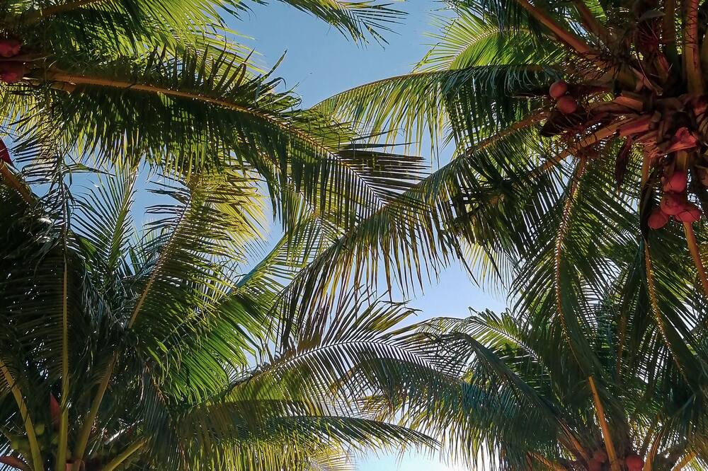 Photo of Outdoor in El Cuyo