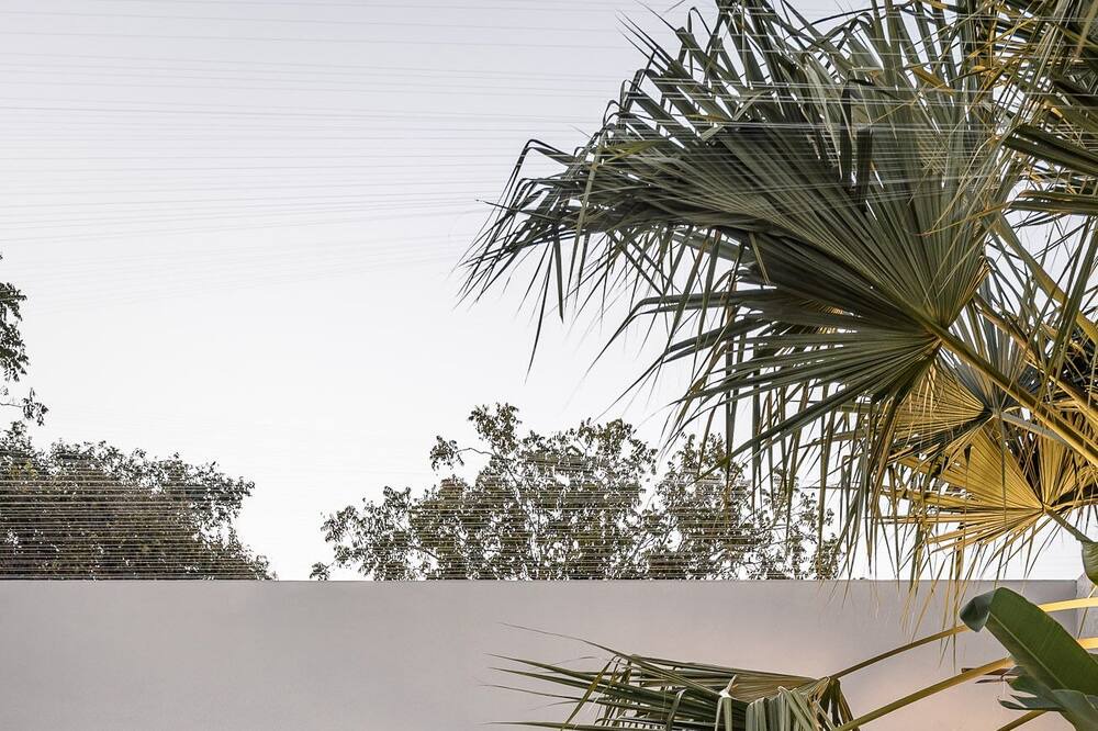 Photo of Outdoor in Centro