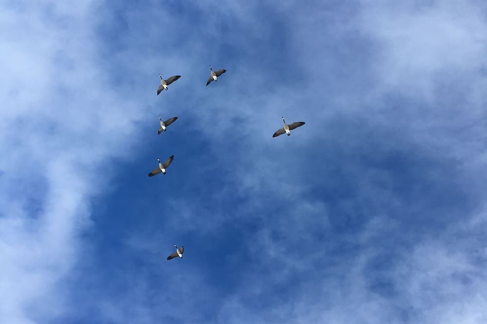 Photo of Outdoor in Munds Park