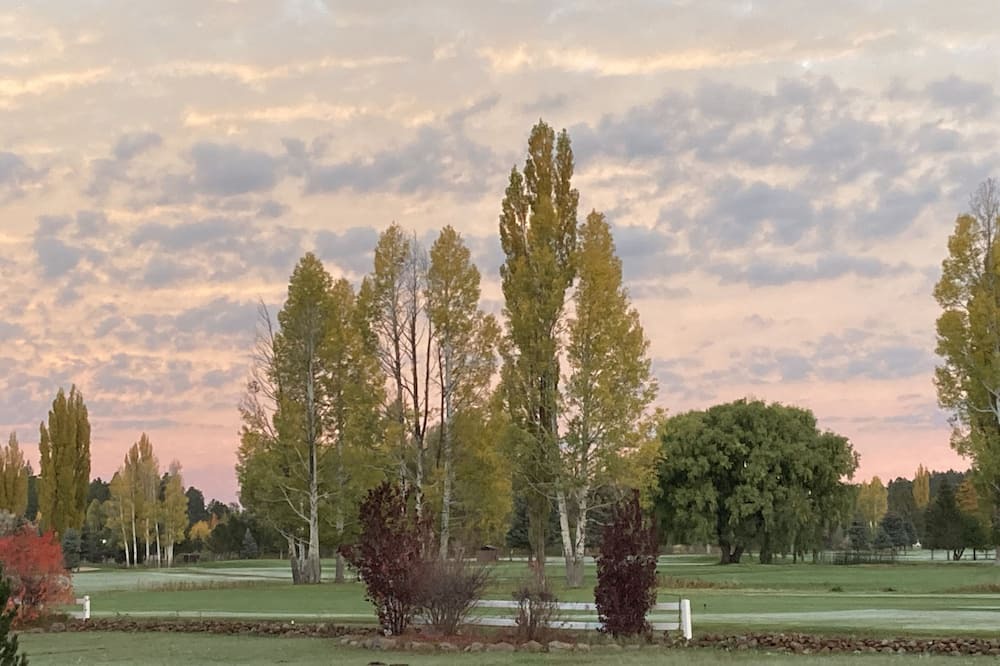 Photo of Others in Munds Park