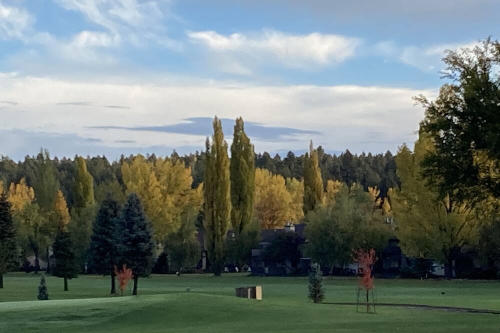 Photo of Others in Munds Park