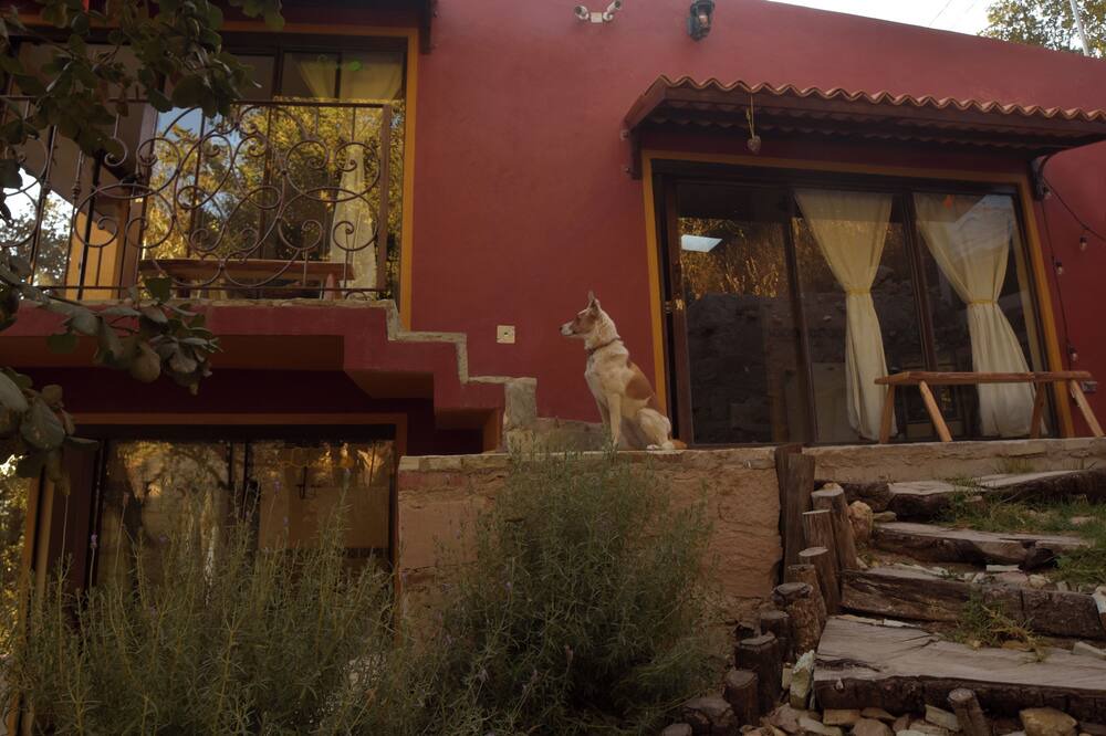 Photo of Outdoor in Santa Rosa