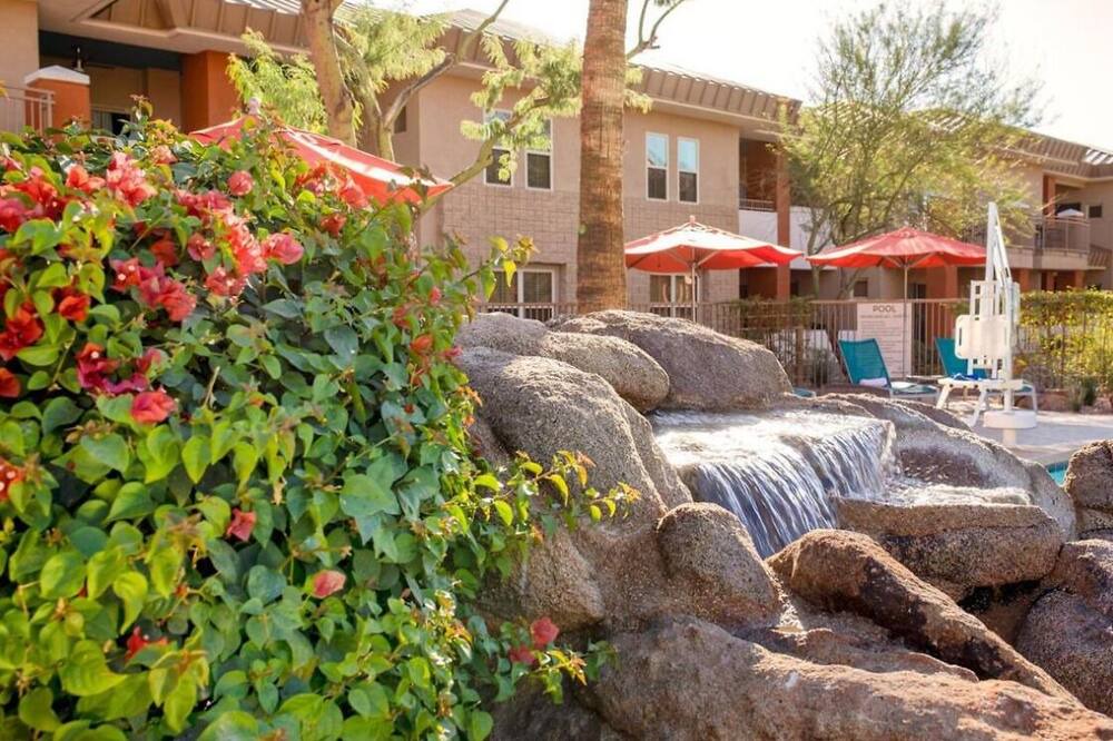 Photo of Outdoor in South Scottsdale