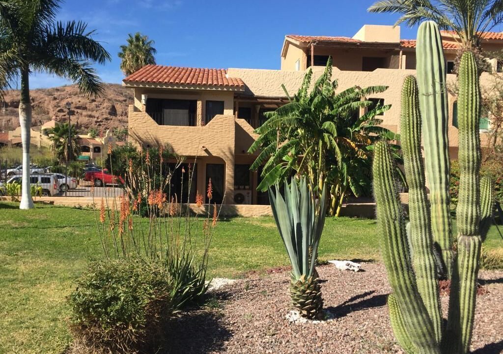 Photo of Outdoor in San Carlos