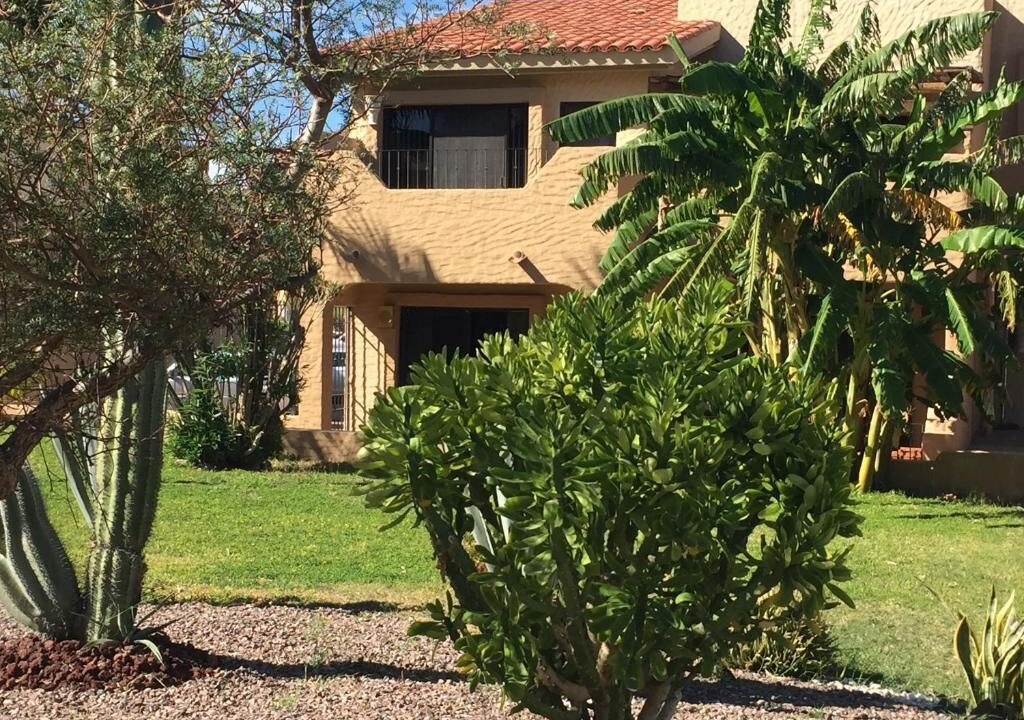 Photo of Outdoor in San Carlos